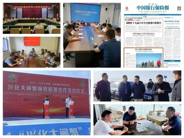 1669603540537646.jpg 2.jpg