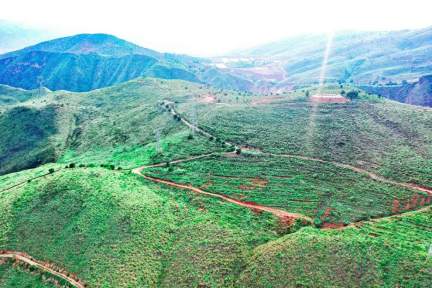 1678934473917244.jpg 2.jpg