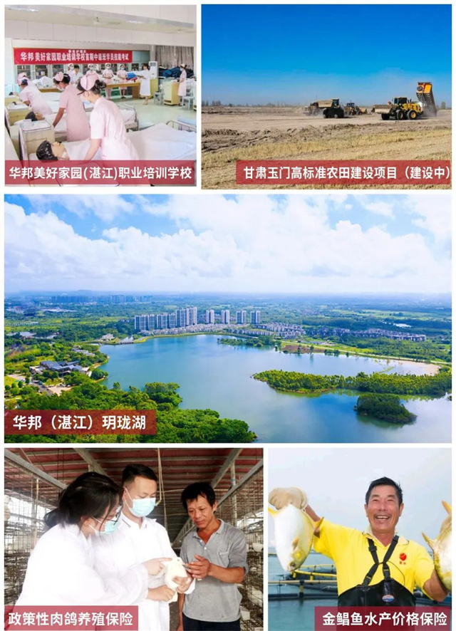 1688612598135742.jpg 10.jpg