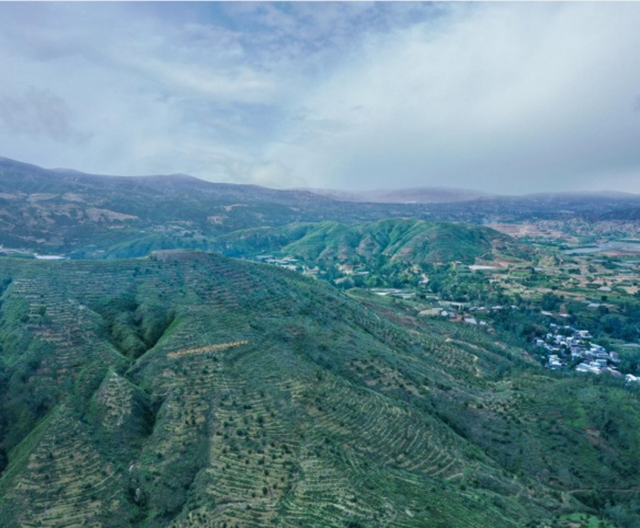 1698976990737330.jpg a_904569498873360384_副本.jpg