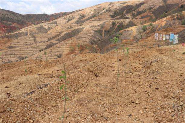 1699954718248597.jpg 07t2wpio000-9dfv.jpg