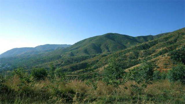 1699954732521475.jpg 07t2wpir000-9dfv.jpg