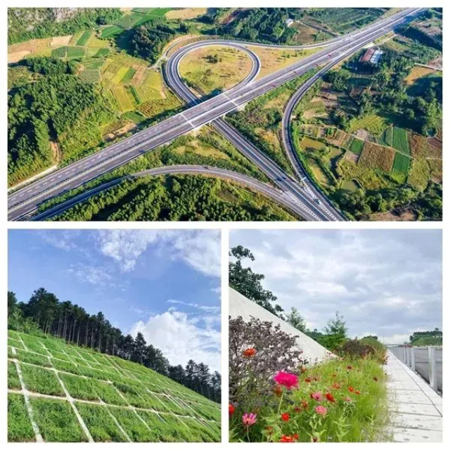 1731547899262199.jpg 5.jpg