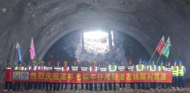 1731548034774453.jpg 10.jpg