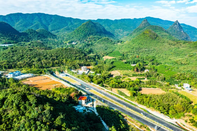 1731548236615510.jpg 19.jpg